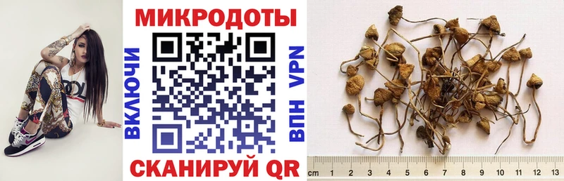 blacksprut как зайти  Белокуриха  Галлюциногенные грибы GOLDEN TEACHER  как найти закладки 